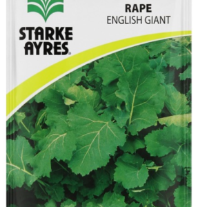 rape english giant seeds