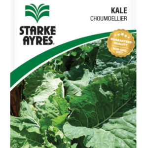 Vegetable Production kale seeds polypack