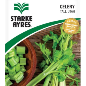 Vegetable Production auto draft