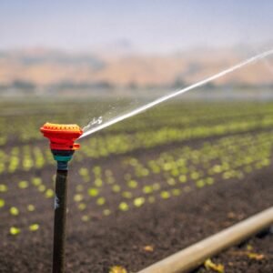 Irrigation