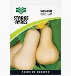 butternut seed