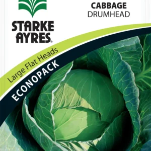 Vegetable Production cabbage