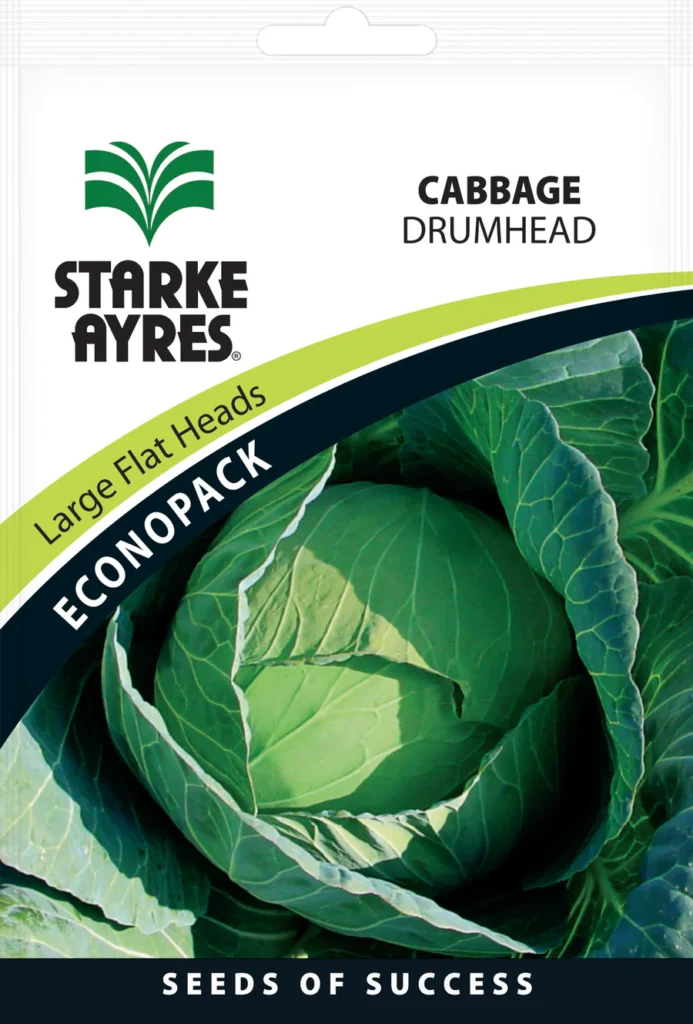 Vegetable Production cabbage