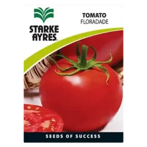 tomato seeds