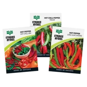chilli seed (packet)