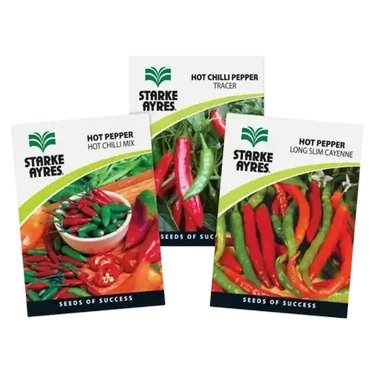 chilli seed (packet)