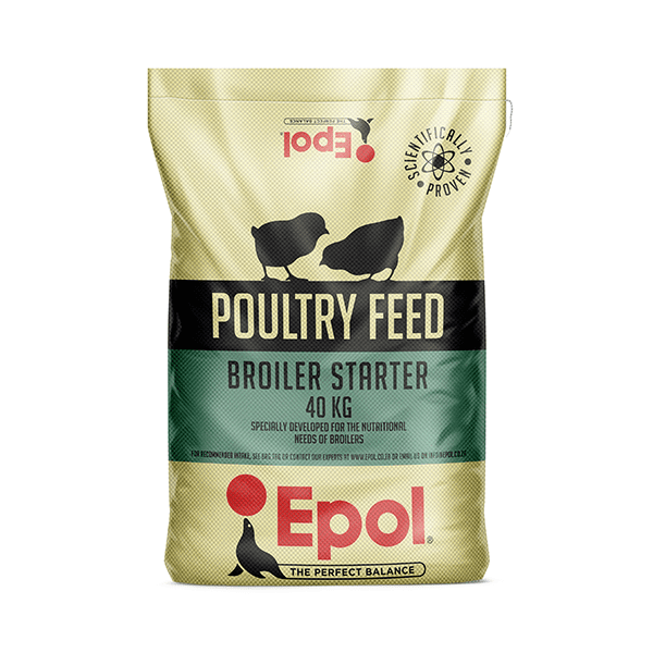 poultry feed starter 40kg