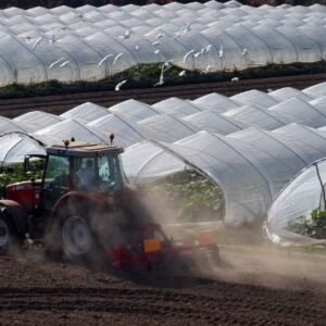 Crop-Protection Input